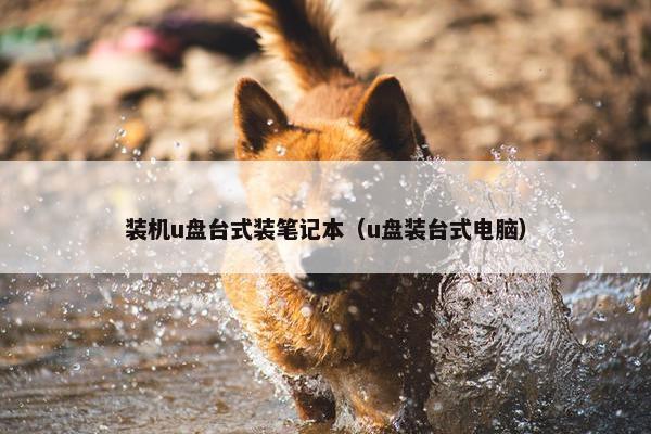 装机u盘台式装笔记本（u盘装台式电脑）