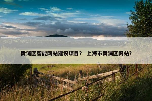 黄浦区智能网站建设项目？ 上海市黄浦区网站？