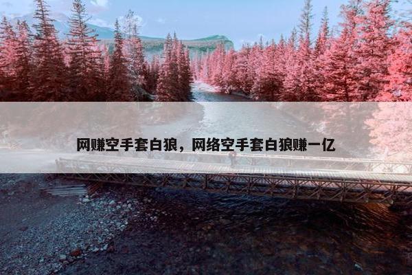 网赚空手套白狼，网络空手套白狼赚一亿
