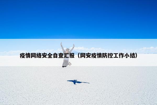 疫情网络安全自查汇报（网安疫情防控工作小结）