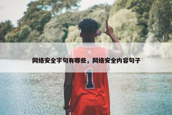 网络安全字句有哪些，网络安全内容句子