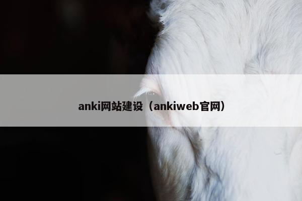 anki网站建设（ankiweb官网）