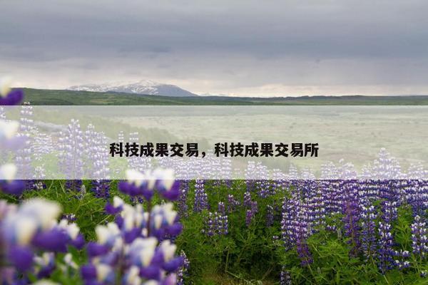 科技成果交易，科技成果交易所