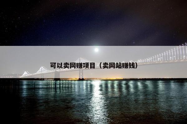 可以卖网赚项目（卖网站赚钱）