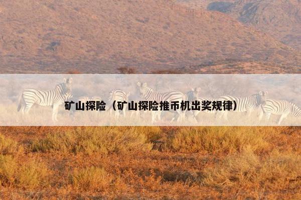 矿山探险（矿山探险推币机出奖规律）