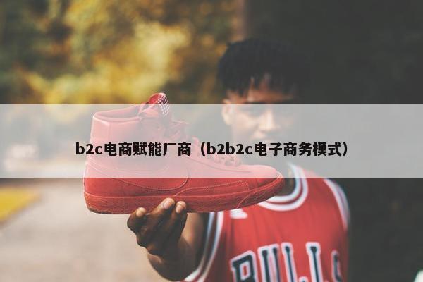 b2c电商赋能厂商（b2b2c电子商务模式）
