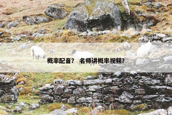 概率配音？ 名师讲概率视频？
