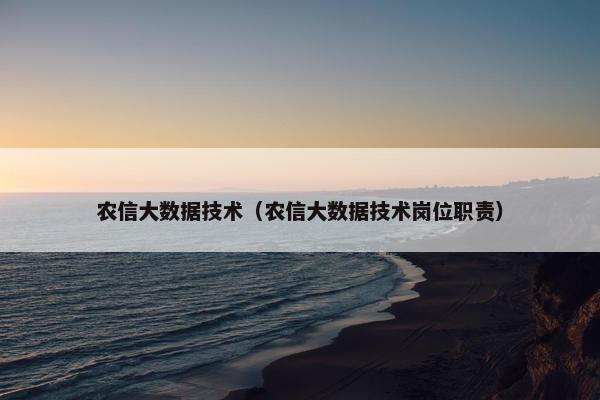 农信大数据技术（农信大数据技术岗位职责）