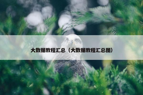 大数据教程汇总（大数据教程汇总图）