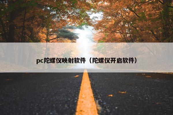 pc陀螺仪映射软件（陀螺仪开启软件）