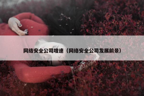 网络安全公司增速（网络安全公司发展前景）