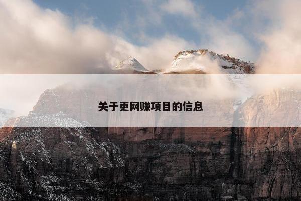 关于更网赚项目的信息