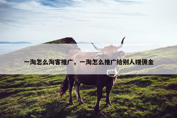 一淘怎么淘客推广，一淘怎么推广给别人赚佣金