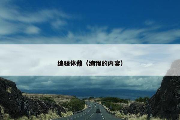 编程体裁（编程的内容）