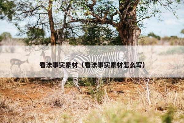 看法事实素材（看法事实素材怎么写）