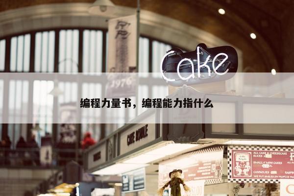 编程力量书，编程能力指什么