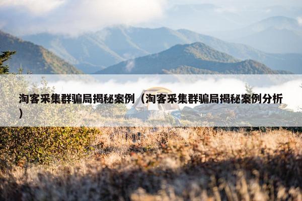 淘客采集群骗局揭秘案例（淘客采集群骗局揭秘案例分析）