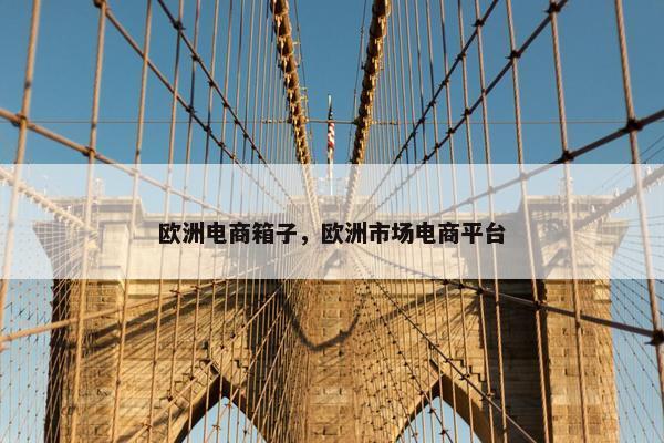 欧洲电商箱子，欧洲市场电商平台