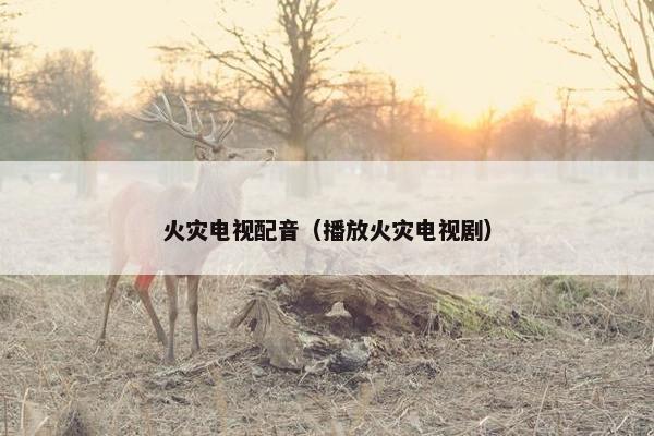 火灾电视配音（播放火灾电视剧）