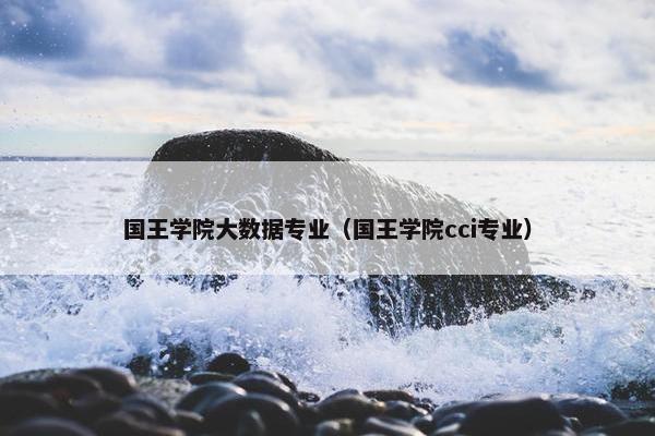 国王学院大数据专业（国王学院cci专业）