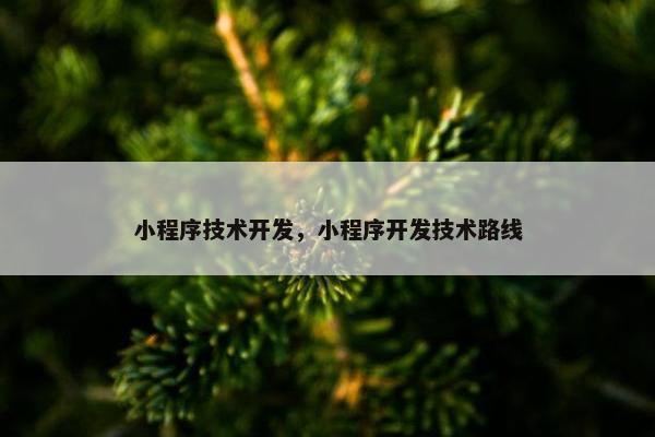 小程序技术开发，小程序开发技术路线