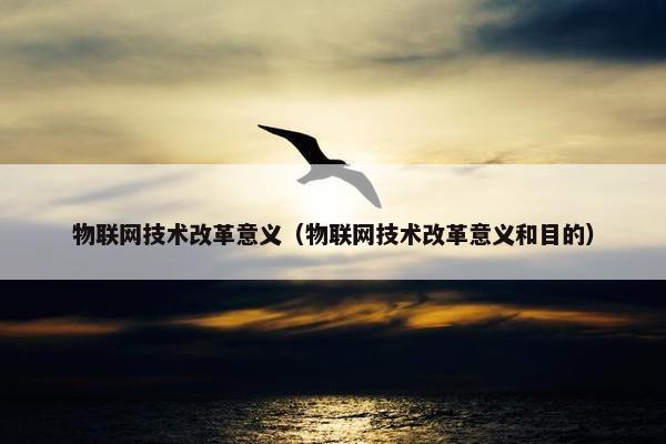 物联网技术改革意义（物联网技术改革意义和目的）