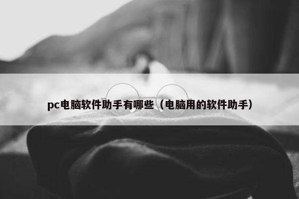 pc电脑软件助手有哪些（电脑用的软件助手）