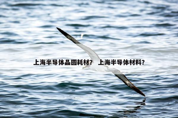 上海半导体晶圆耗材？ 上海半导体材料？