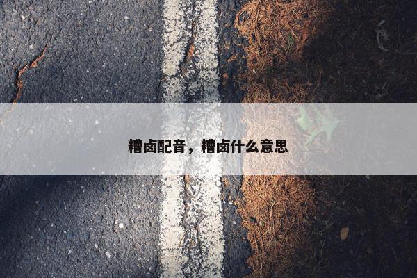 糟卤配音，糟卤什么意思