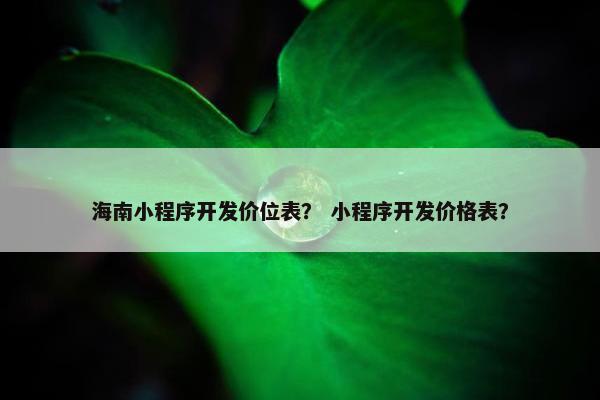 海南小程序开发价位表？ 小程序开发价格表？