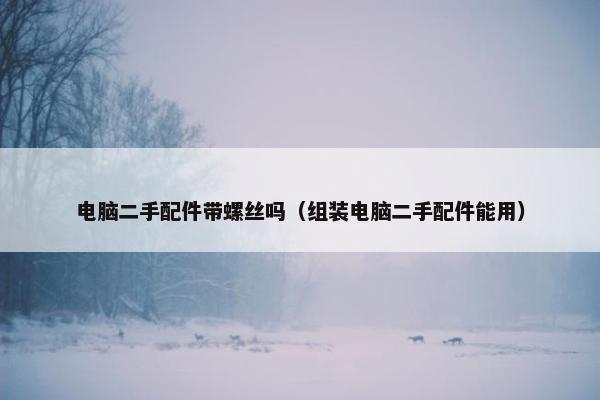 电脑二手配件带螺丝吗（组装电脑二手配件能用）