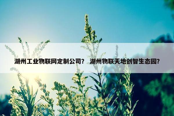 湖州工业物联网定制公司？ 湖州物联天地创智生态园？