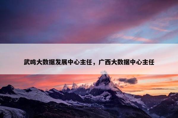 武鸣大数据发展中心主任，广西大数据中心主任