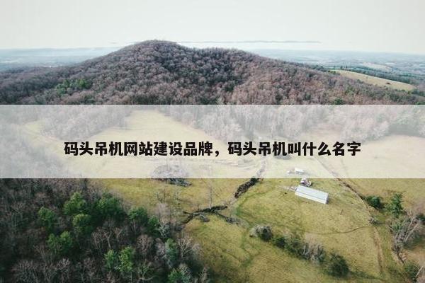 码头吊机网站建设品牌，码头吊机叫什么名字