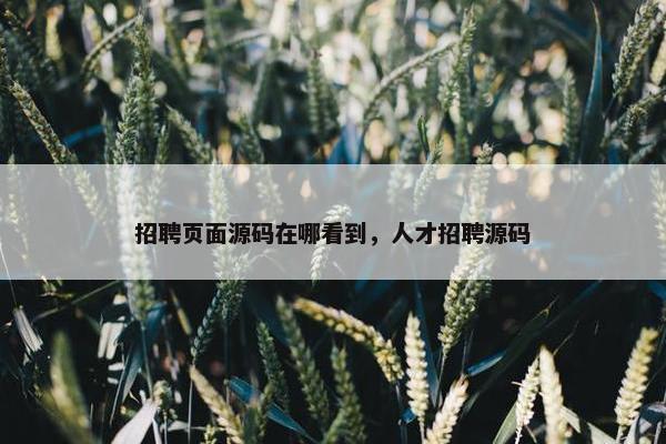 招聘页面源码在哪看到，人才招聘源码