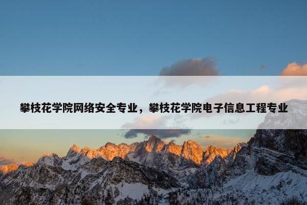 攀枝花学院网络安全专业，攀枝花学院电子信息工程专业