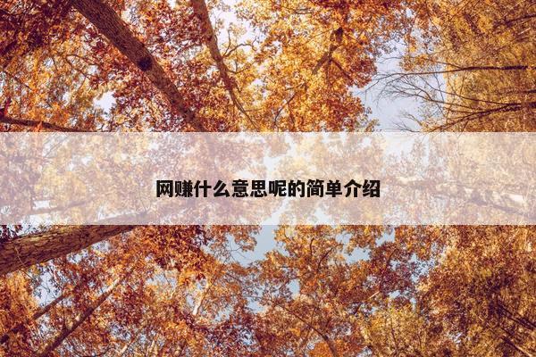 网赚什么意思呢的简单介绍