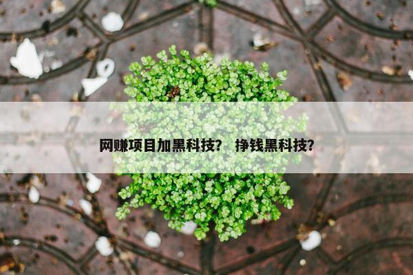 网赚项目加黑科技？ 挣钱黑科技？