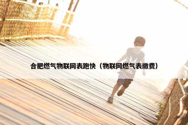 合肥燃气物联网表跑快（物联网燃气表缴费）