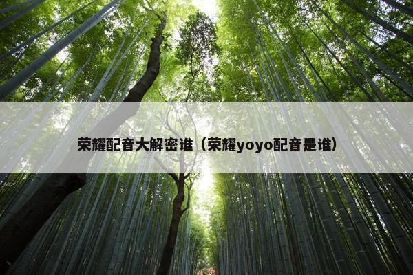 荣耀配音大解密谁（荣耀yoyo配音是谁）