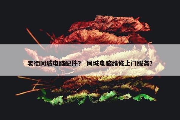 老街同城电脑配件？ 同城电脑维修上门服务？