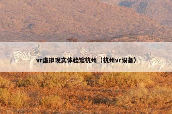 vr虚拟现实体验馆杭州（杭州vr设备）