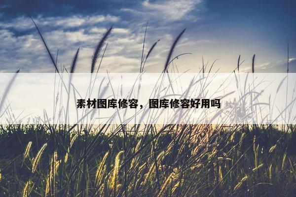 素材图库修容，图库修容好用吗