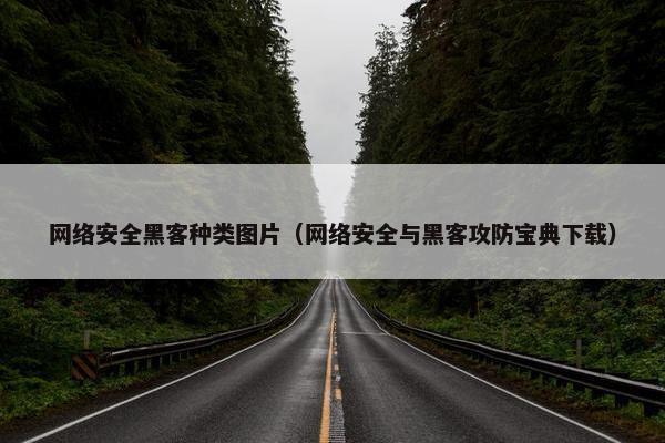 网络安全黑客种类图片（网络安全与黑客攻防宝典下载）