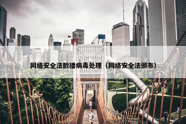 网络安全法散播病毒处理（网络安全法颁布）