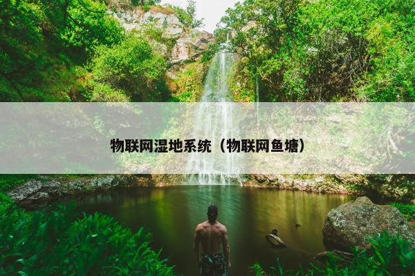 物联网湿地系统（物联网鱼塘）