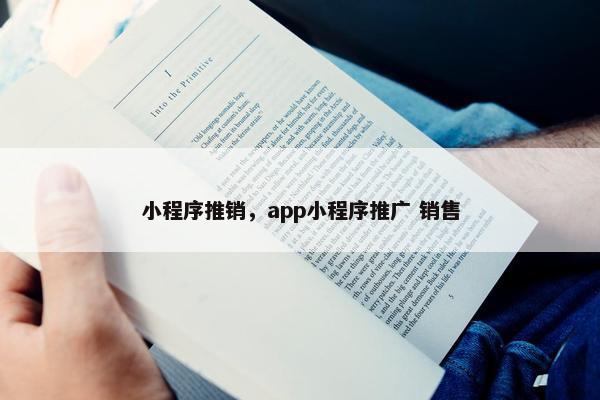 小程序推销，app小程序推广 销售