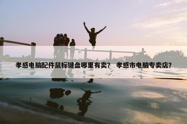 孝感电脑配件鼠标键盘哪里有卖？ 孝感市电脑专卖店？