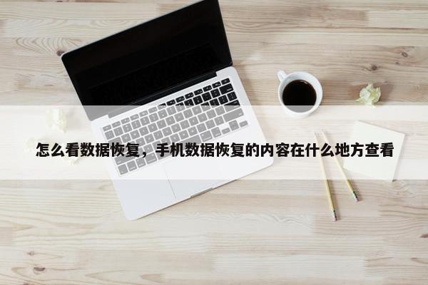 怎么看数据恢复，手机数据恢复的内容在什么地方查看