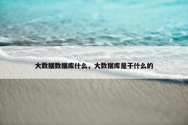大数据数据库什么，大数据库是干什么的